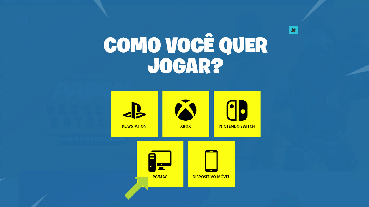 Selecione PC/Mac entre as plataformas para as quais Fortnite está disponível (Reprodução: Redação Zoom)