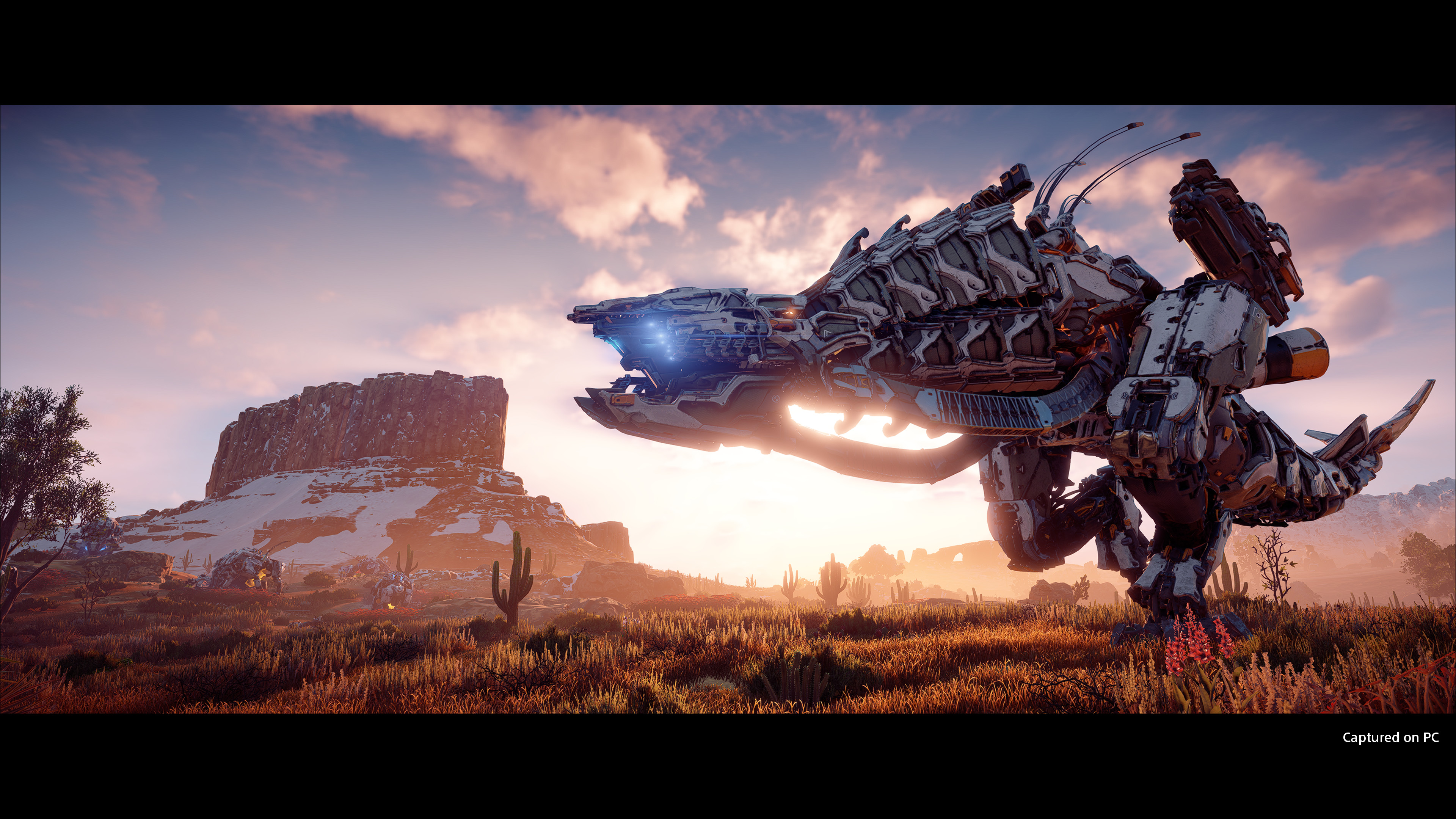 Para jogar Horizon Zero Dawn nos requisitos recomendados, o PC precisa ter bons componentes (Foto: Divulgação/Sony)