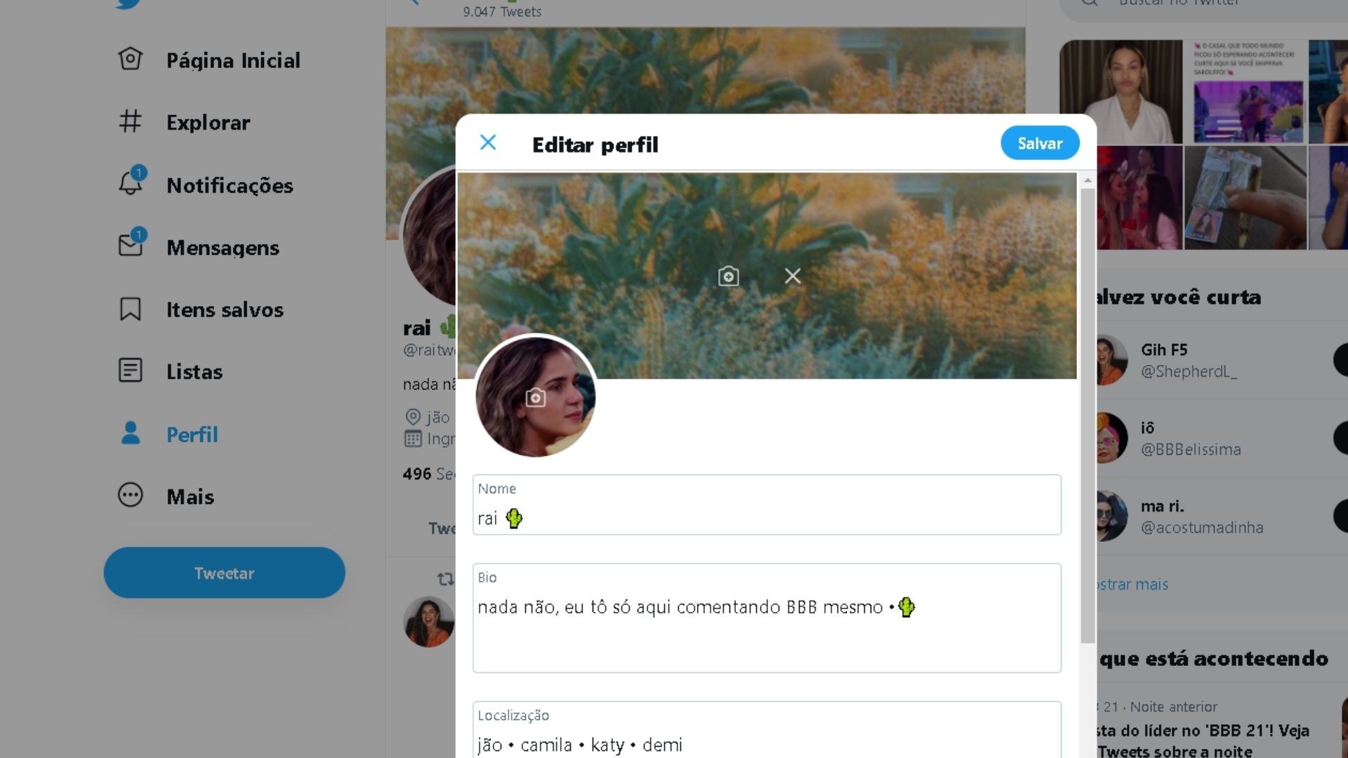 Com a opção de capa para Twitter escolhida, é só aplicar (Foto: Arte / Zoom)