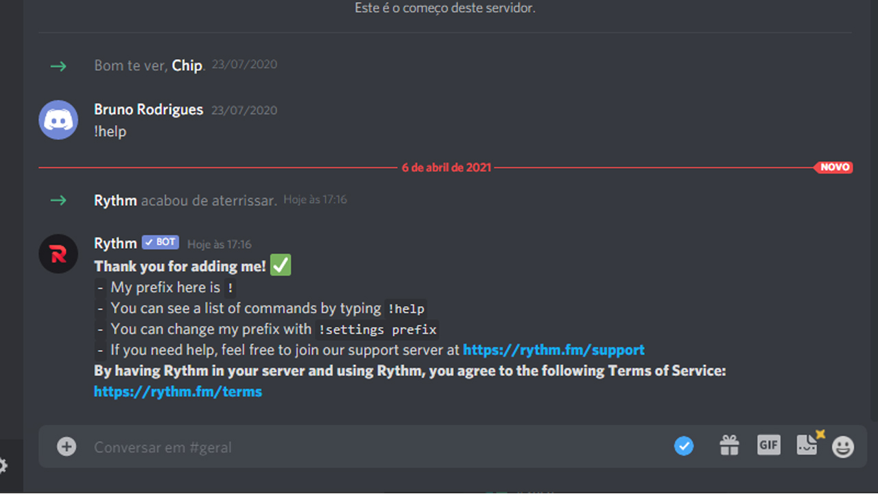 Como colocar bot no Discord: robô já adicionado ao seu servidor. (Foto: Reprodução)