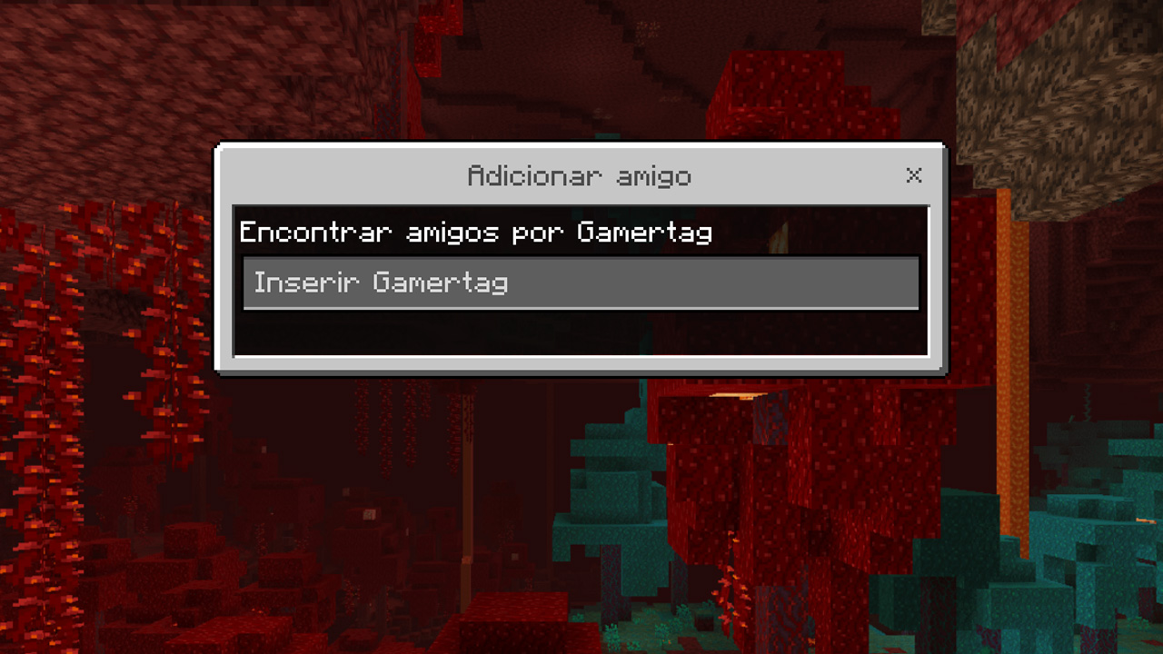 Lembre-se que para jogar com um amigo é preciso tê-lo adicionado ao buscá-lo pela sua gamertag (apelido) em sua conta Microsoft (Reprodução: Redação Zoom)