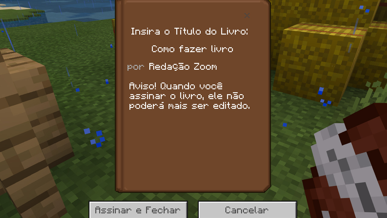 Após terminar de editar o seu livro em Minecraft clique em assinar para fechá-lo (Reprodução: Redação Zoom)